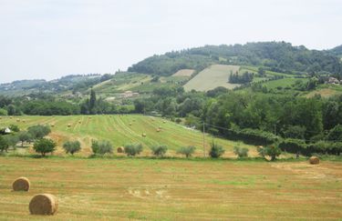 Agriturismo Le Spighe - Campo