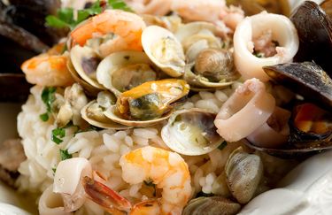 samma-risotto