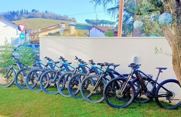 Ebike Style - Ebike