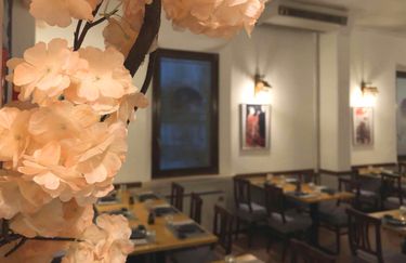 My Sushi House - Interno