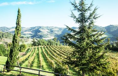 Agriturismo La Cerreta - Paesaggio