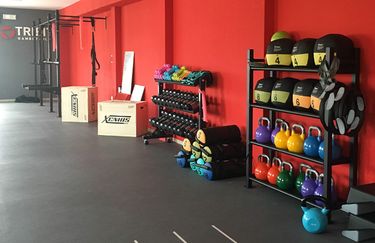 Trifit - Palestra