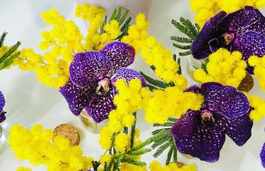 I Fiori di Gavi e Stefi - Fiori