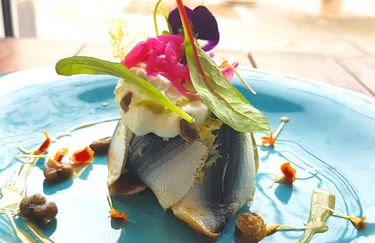 Alba Bistrot - Sarde