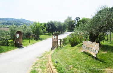 Agriturismo Le Spighe - Esterno