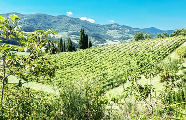 Agriturismo La Cerreta - Coltivazioni Biologiche