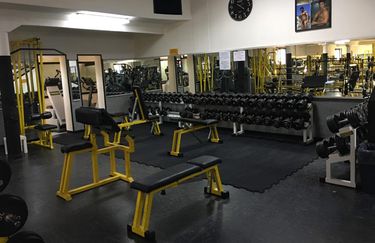 New Big Dream - Palestra