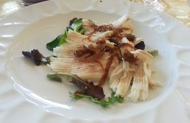 squisito-razza
