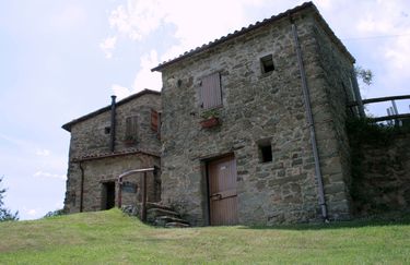 Agriturismo Montalcino esterno 2