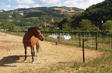 Agriturismo Campo Rosso - Esterno
