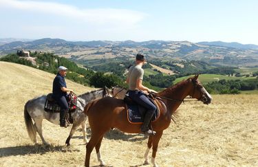 Centro Ippico dolcevita - Paesaggio