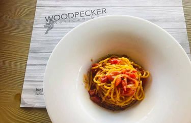 Woodpecker - Spaghetti