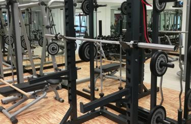The Life's Sport - Sala Pesi