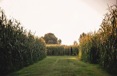 Labirinto Effimero - Parco