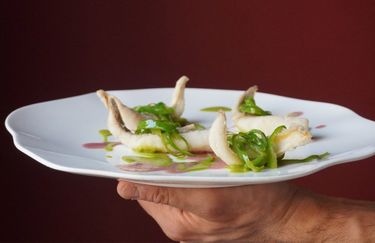 Augusta Cucina e Cicchetto - Piatto