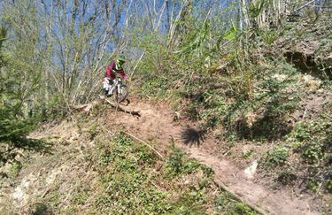 Bike Park 3