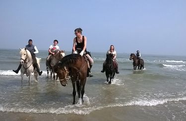 Aloha Beach passeggiata a cavallo 5