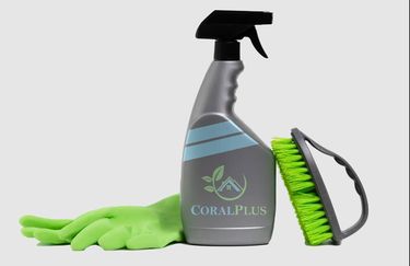 Coral Plus Servizi - Interno