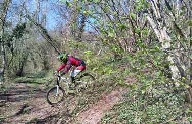 Bike Park 5