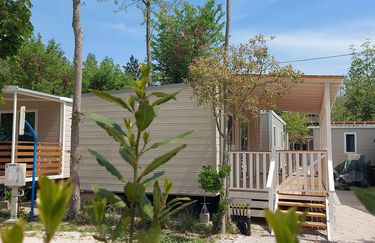I Bazzarri Camping - Esterno