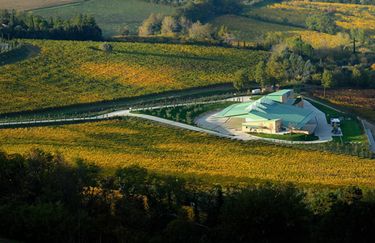 CampoDelSole - Azienda