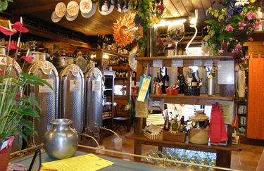 Fattoria Ca Rossa-interno2