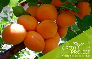 Green Project - Prodotti