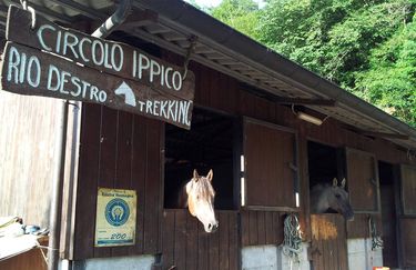 Ristorante e Maneggio Rio Destro - Maneggio