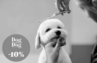 Dog And Dog - Sconto