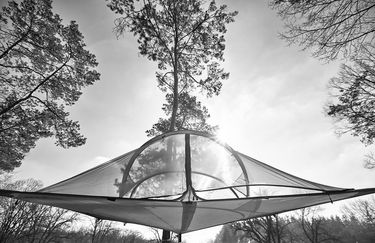 Alto Savio Camping - Tenda Sospesa sugli Alberi