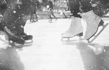 Ice Park Ferrara - Pista