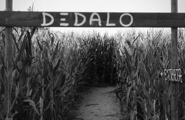 Labirinto di Dedalo - Labirinto