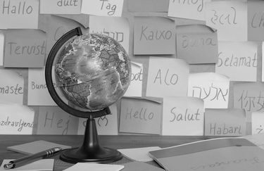 madrelingua-lingue4