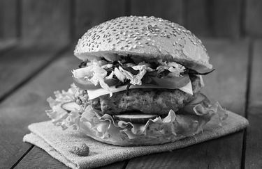 fast-n-full-hamburger