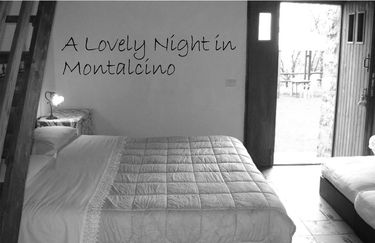 Agriturismo Montalcino camera