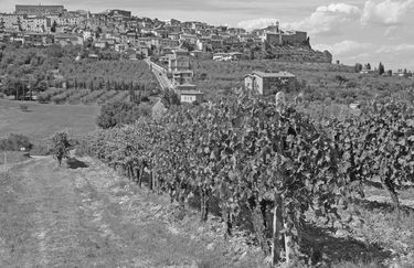 Hotel Ave - chianciano terme