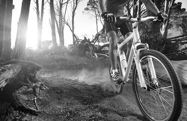 Bike Park mountain bike