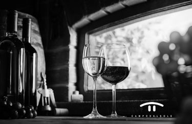 Campodelsole - Degustazione