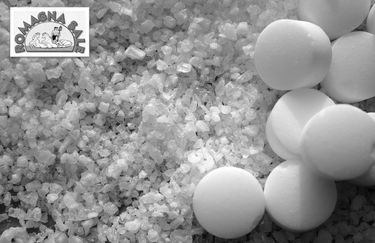 Romagna Sale - Sale