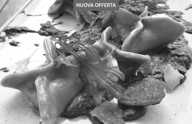Alba Bistrot - fagottini