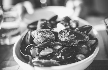 Havana Beach 41 - Cozze
