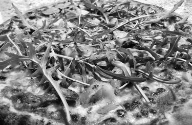 low cost cafe - pizza