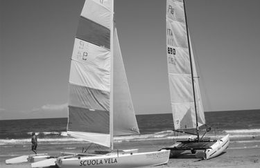 Real Sailing - Catamarano