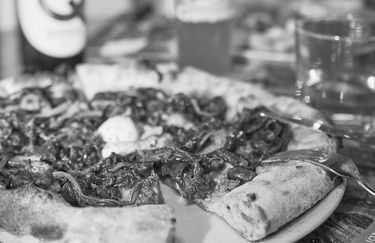 Qbio - Pizza