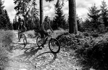 Ebike Style - Noleggio