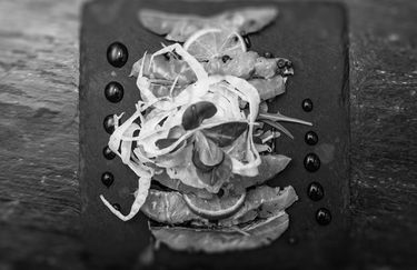 Fellini Scalino Cinque - Piatto