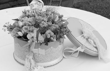 Appuntamento con il Decoro - Scatola