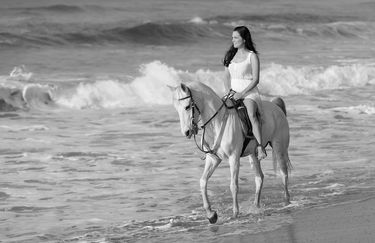 Aloha Beach passeggiata a cavallo