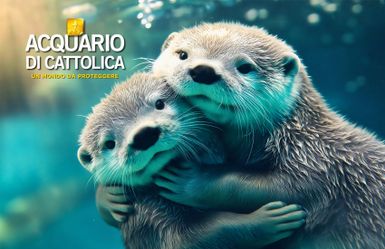 Acquario di Cattolica - Locandina Acquario di Cattolica - Locandina